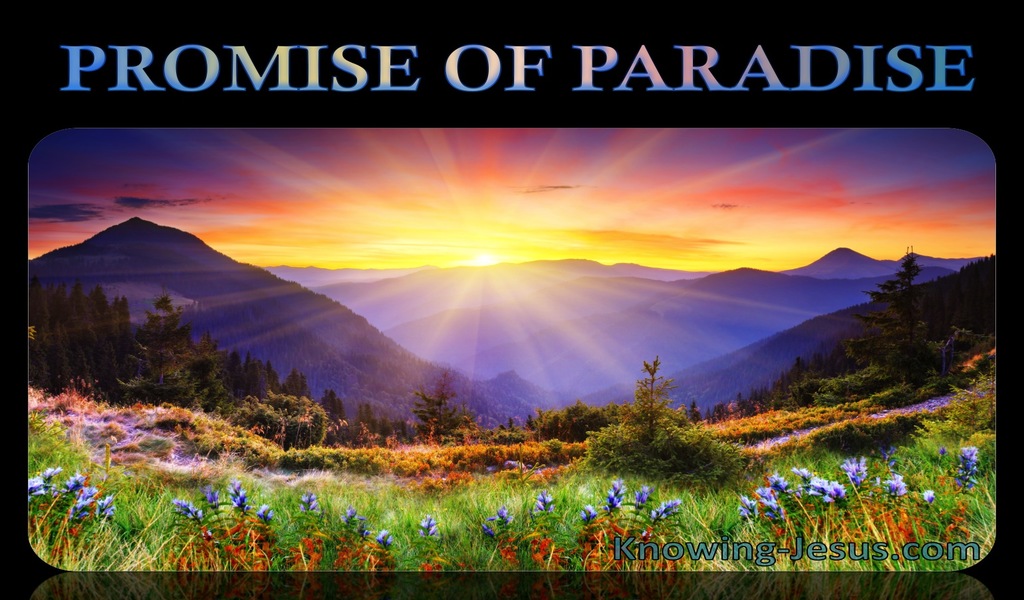 Luke 23:43 Promise of Paradise (devotional)01:04 (purple)